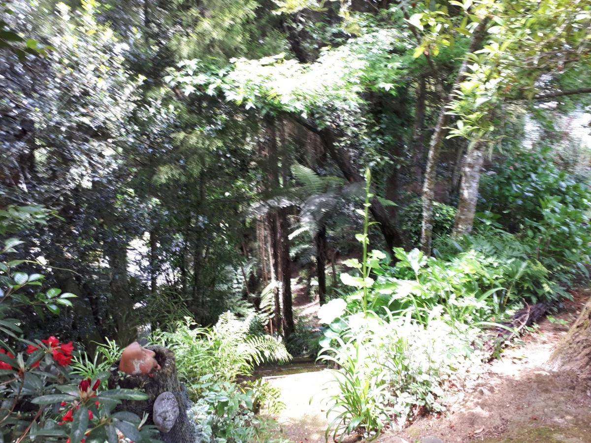 לינה וארוחת בוקר טאומרנוי Rangaroa Heights מראה חיצוני תמונה